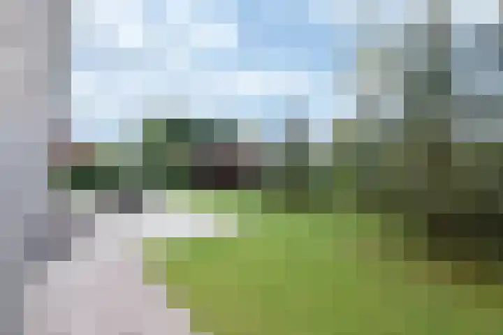 Steenarend 3 Bosschenhoofd thumbnail 22