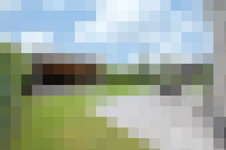 Steenarend 3 Bosschenhoofd thumbnail 23