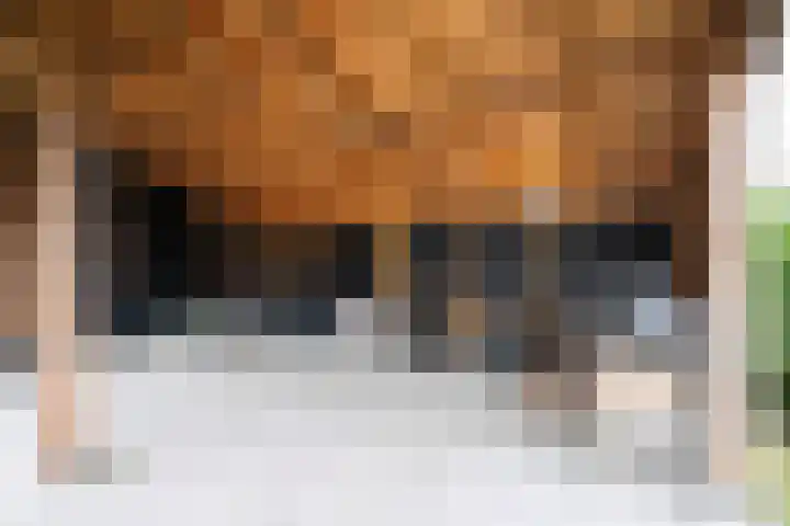 Steenarend 3 Bosschenhoofd thumbnail 25