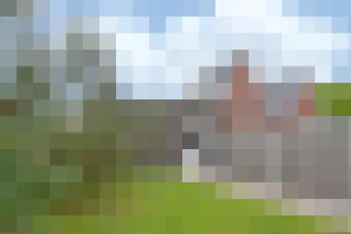 Steenarend 3 Bosschenhoofd thumbnail 27