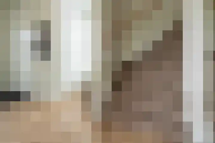 Steenarend 3 Bosschenhoofd thumbnail 28