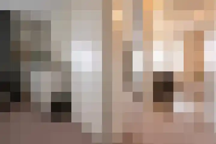 Steenarend 3 Bosschenhoofd thumbnail 29