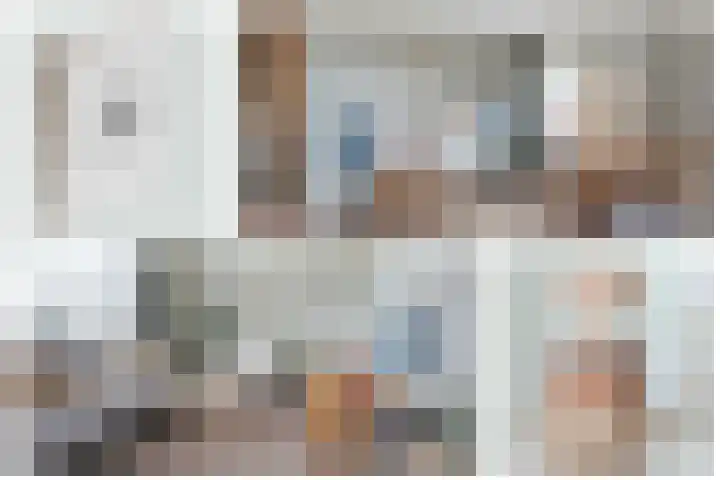 Steenarend 3 Bosschenhoofd thumbnail 30
