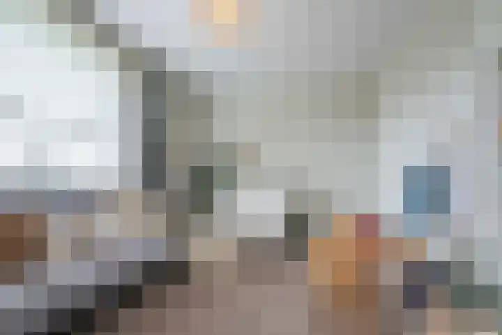 Steenarend 3 Bosschenhoofd thumbnail 32