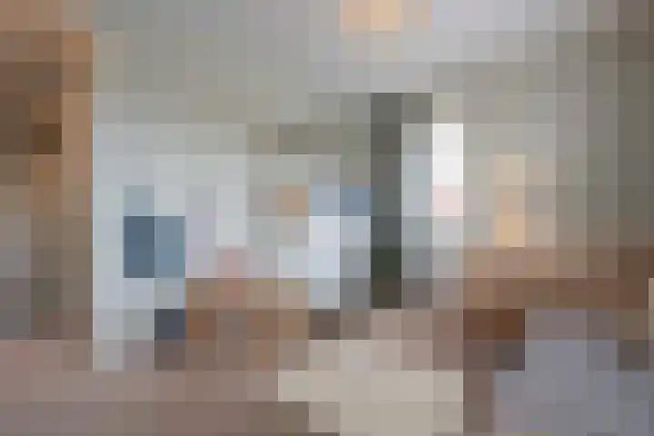 Steenarend 3 Bosschenhoofd thumbnail 33