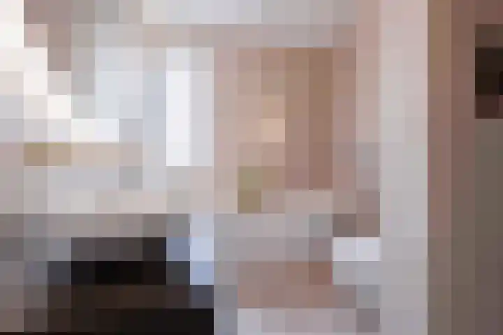 Steenarend 3 Bosschenhoofd thumbnail 35