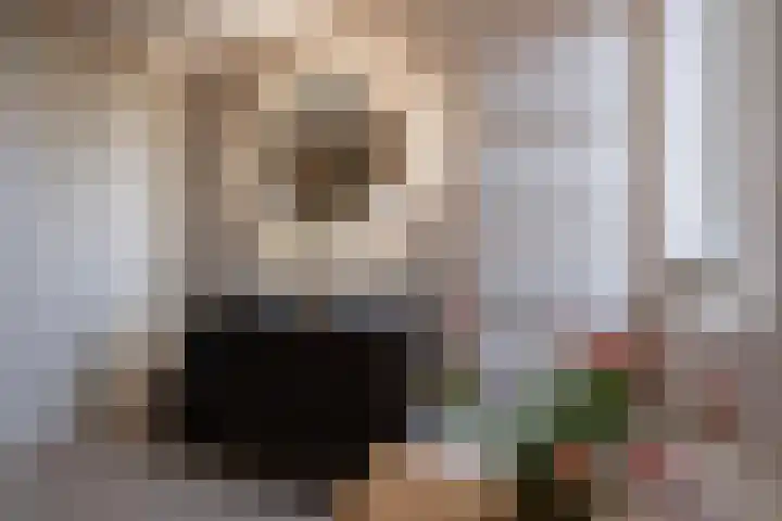 Steenarend 3 Bosschenhoofd thumbnail 36