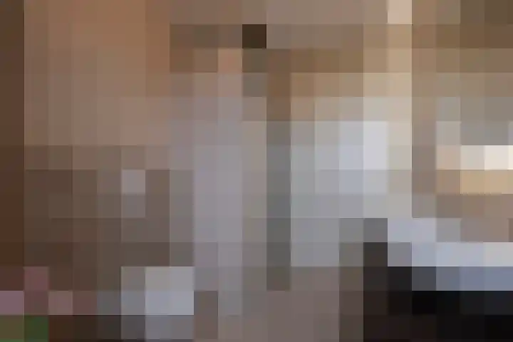 Steenarend 3 Bosschenhoofd thumbnail 39
