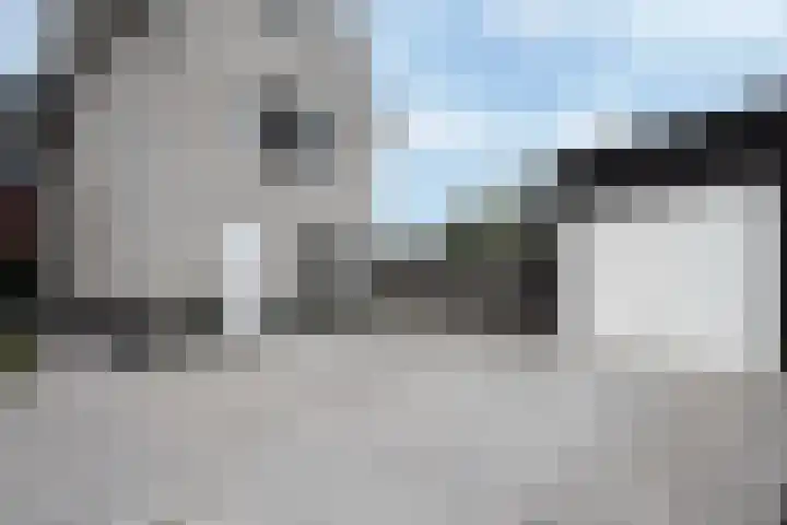 Steenarend 3 Bosschenhoofd thumbnail 4