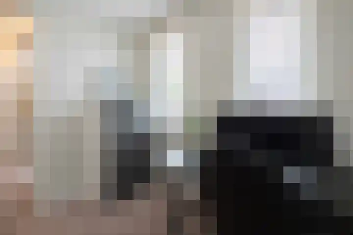 Steenarend 3 Bosschenhoofd thumbnail 40
