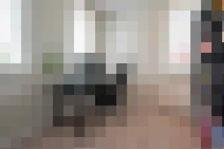 Steenarend 3 Bosschenhoofd thumbnail 41