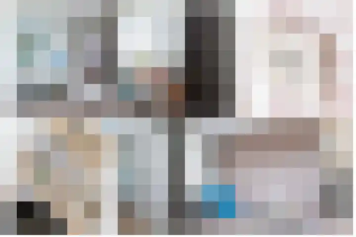Steenarend 3 Bosschenhoofd thumbnail 42