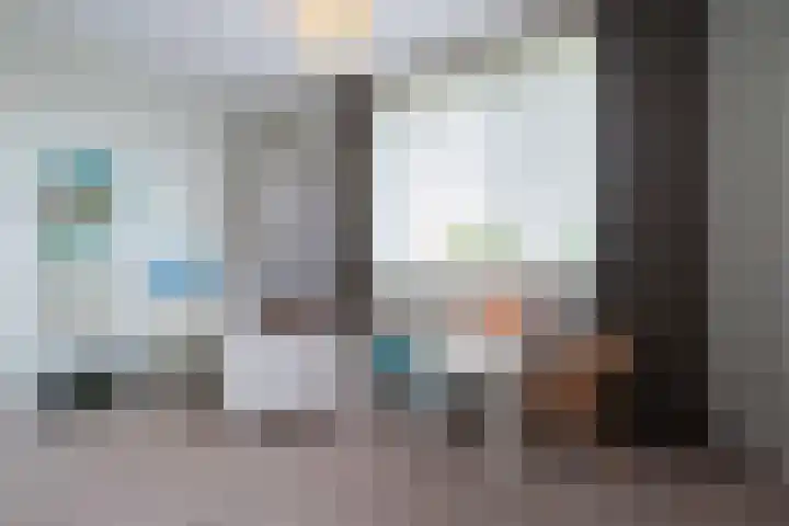Steenarend 3 Bosschenhoofd thumbnail 43