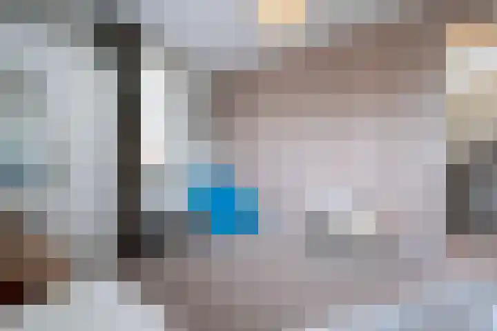 Steenarend 3 Bosschenhoofd thumbnail 44