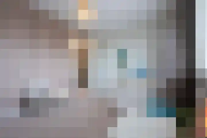 Steenarend 3 Bosschenhoofd thumbnail 45