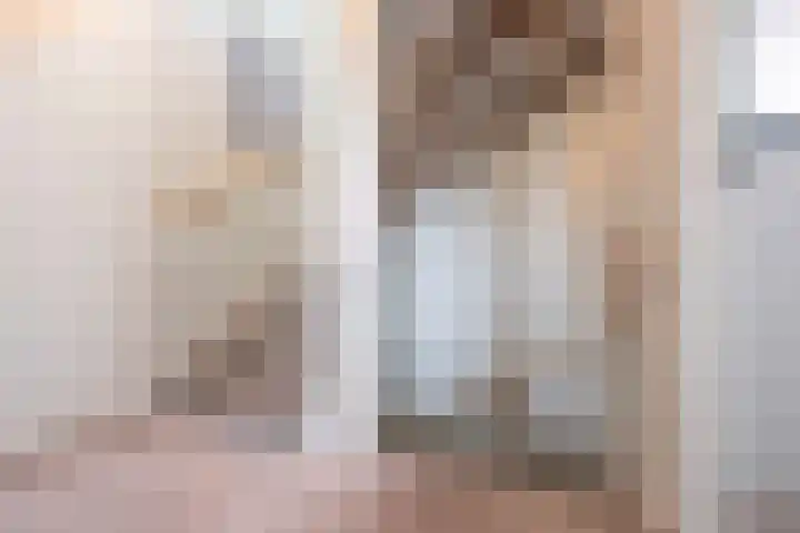 Steenarend 3 Bosschenhoofd thumbnail 46