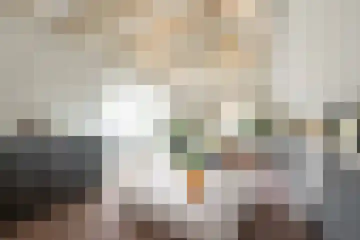 Steenarend 3 Bosschenhoofd thumbnail 48