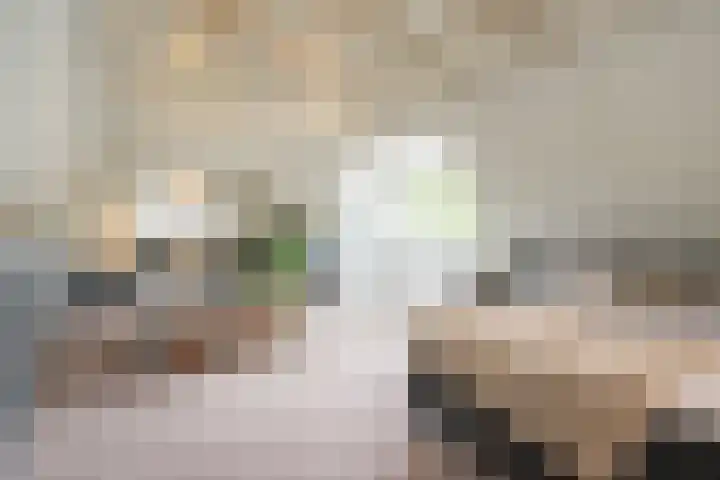 Steenarend 3 Bosschenhoofd thumbnail 49