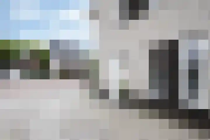 Steenarend 3 Bosschenhoofd thumbnail 5