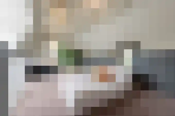 Steenarend 3 Bosschenhoofd thumbnail 51