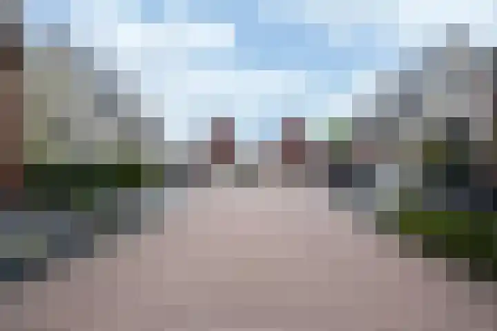 Steenarend 3 Bosschenhoofd thumbnail 52