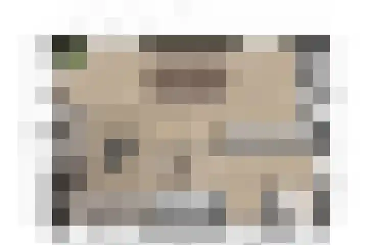 Steenarend 3 Bosschenhoofd thumbnail 53