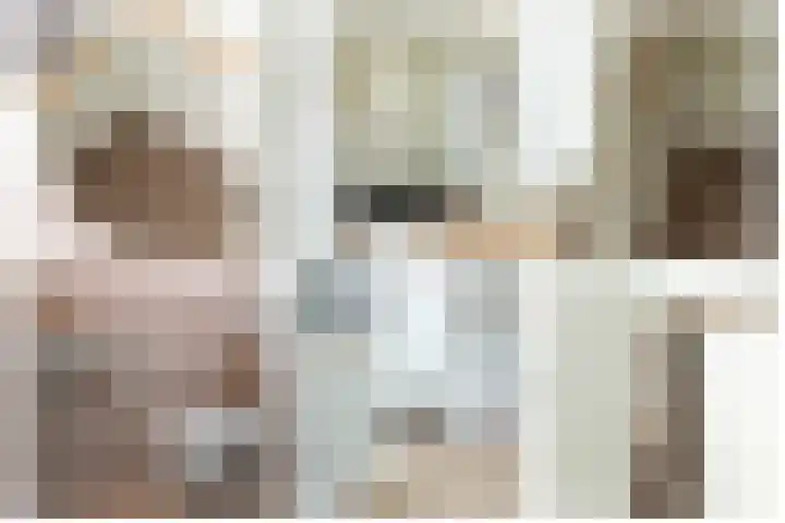 Steenarend 3 Bosschenhoofd thumbnail 6