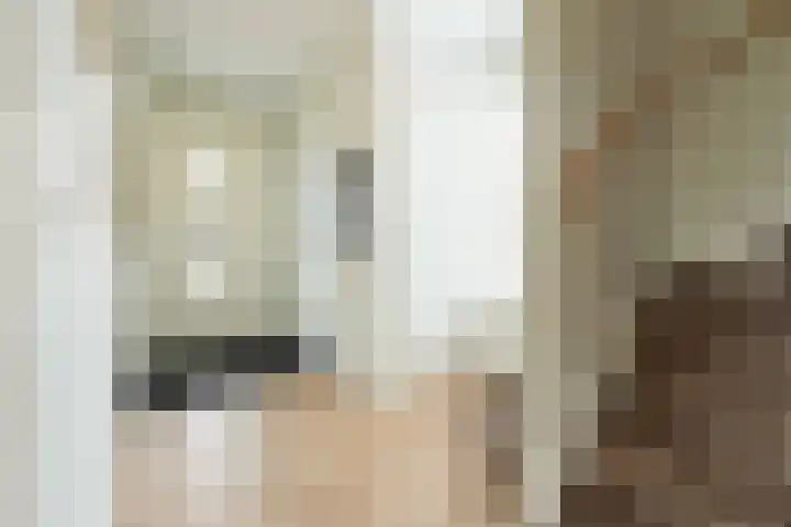 Steenarend 3 Bosschenhoofd thumbnail 7