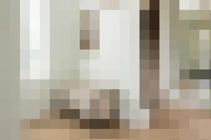 Steenarend 3 Bosschenhoofd thumbnail 9