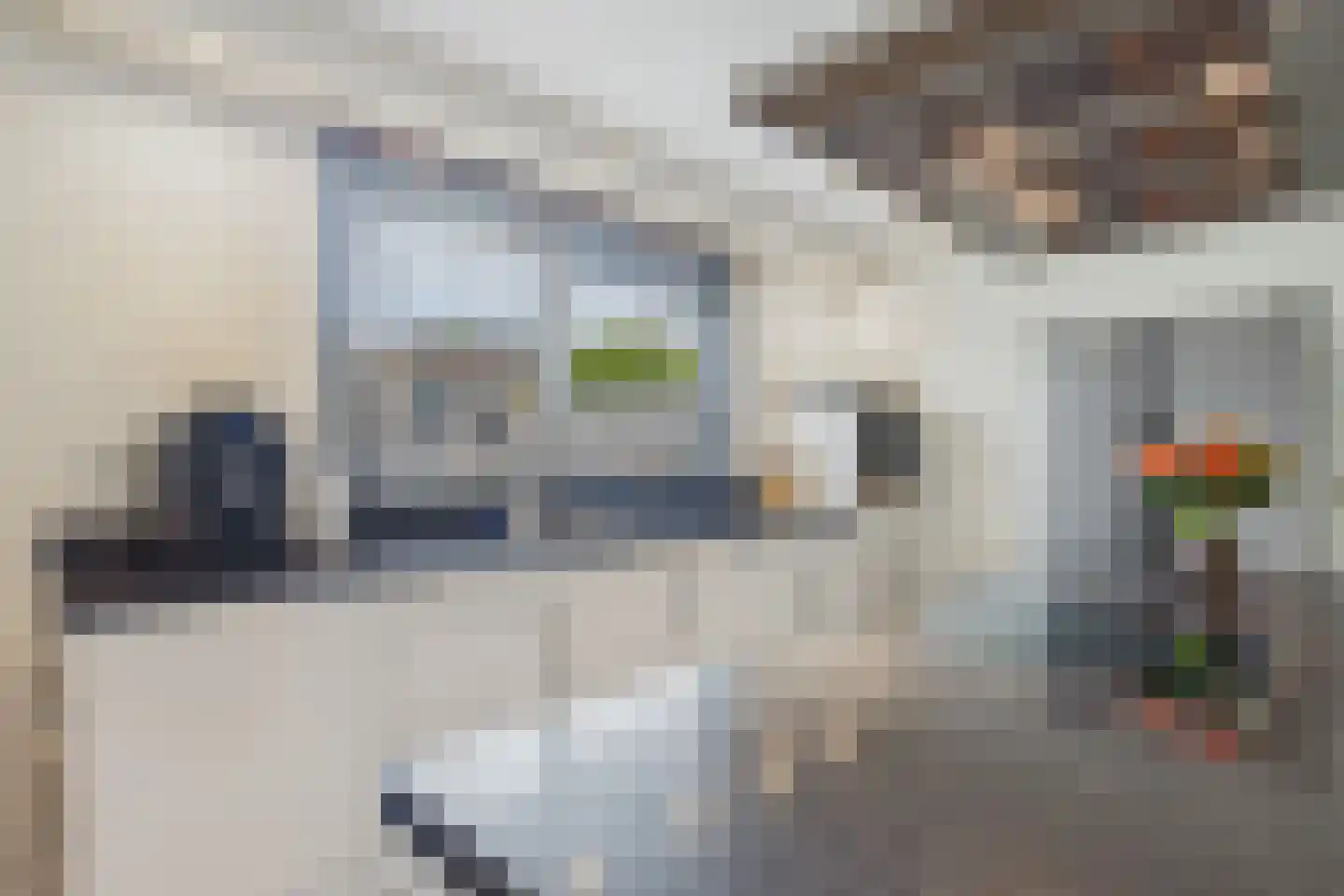 Steenarend 5 Terneuzen thumbnail 16