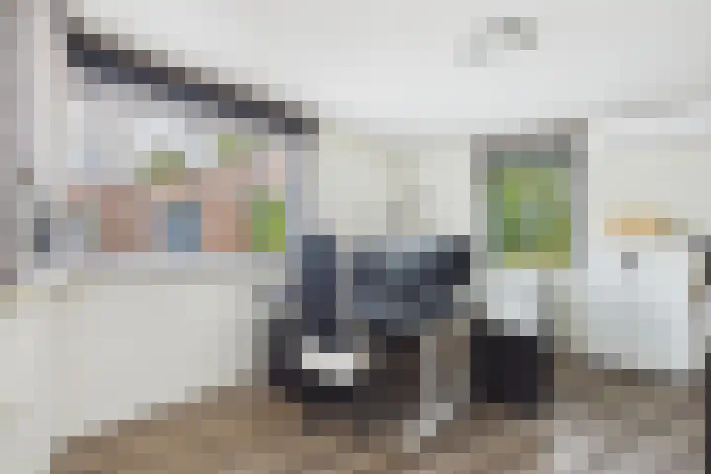 Steenarend 5 Terneuzen thumbnail 19