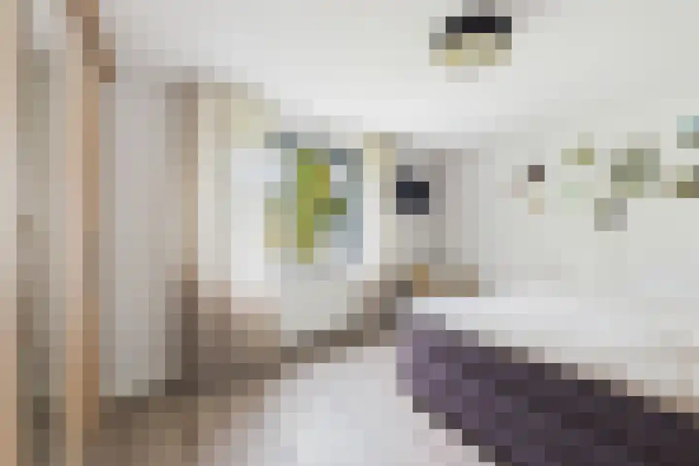 Steenarend 5 Terneuzen thumbnail 20