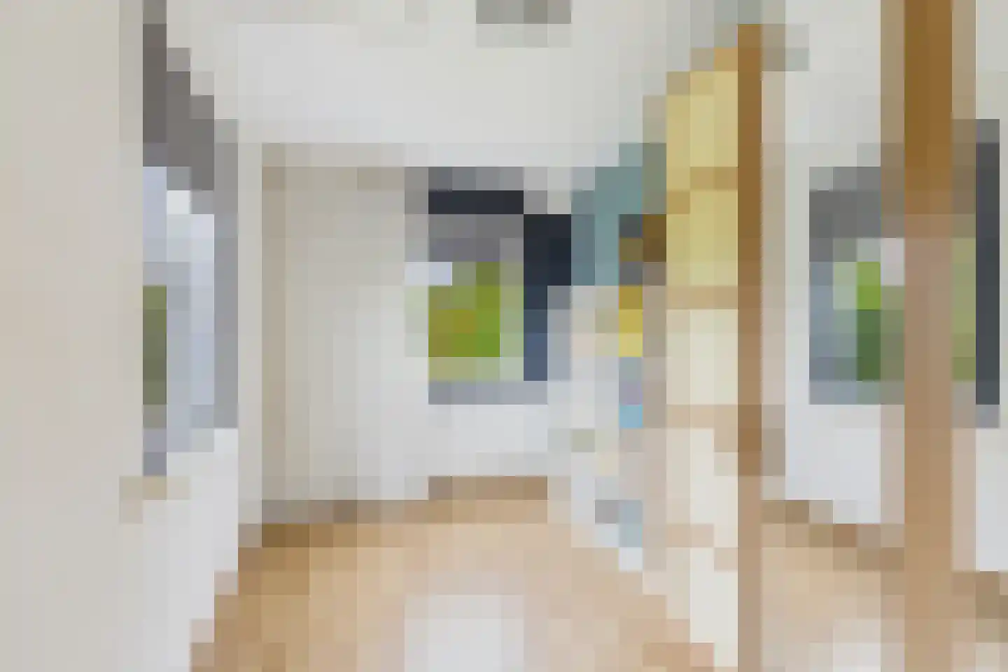 Steenarend 5 Terneuzen thumbnail 30