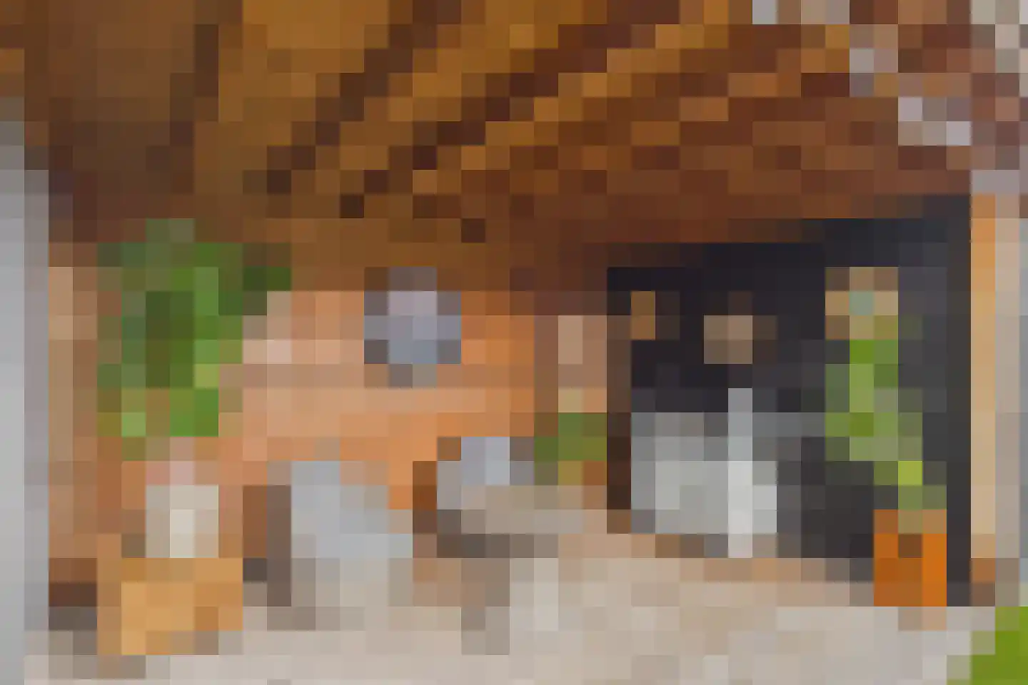 Steenarend 5 Terneuzen thumbnail 39