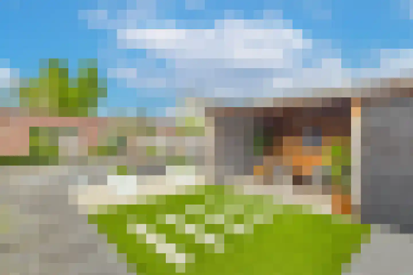 Steenarend 5 Terneuzen thumbnail 5