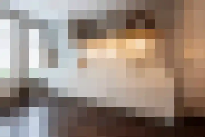 Steenarend 9 Bosschenhoofd thumbnail 12