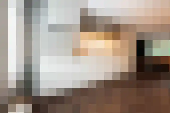 Steenarend 9 Bosschenhoofd thumbnail 14