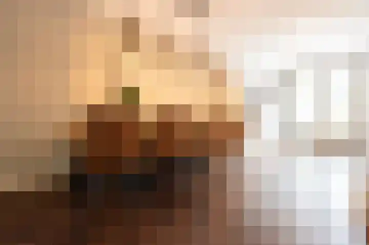 Steenarend 9 Bosschenhoofd thumbnail 16