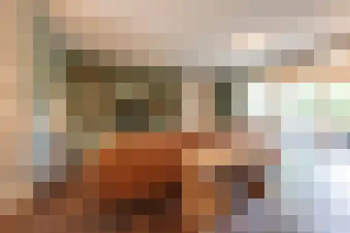 Steenarend 9 Bosschenhoofd thumbnail 18