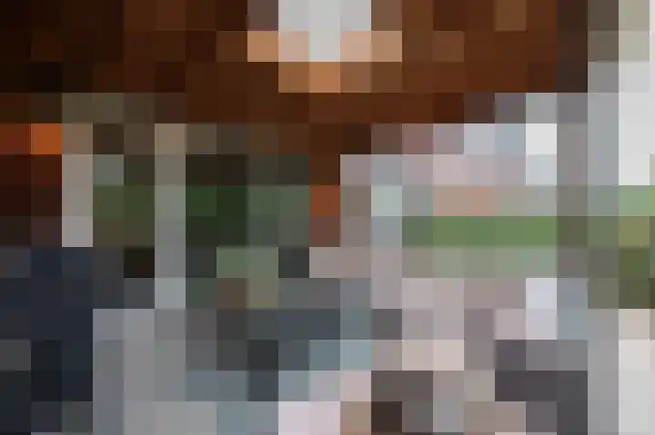 Steenarend 9 Bosschenhoofd thumbnail 24