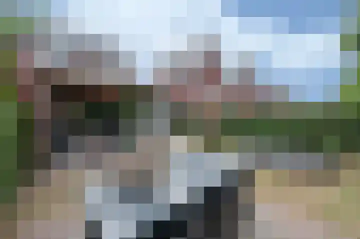 Steenarend 9 Bosschenhoofd thumbnail 29