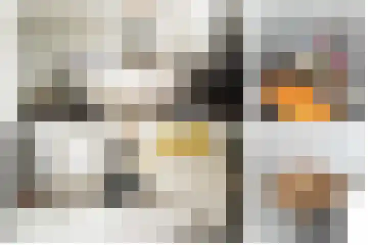 Steenarend 9 Bosschenhoofd thumbnail 33