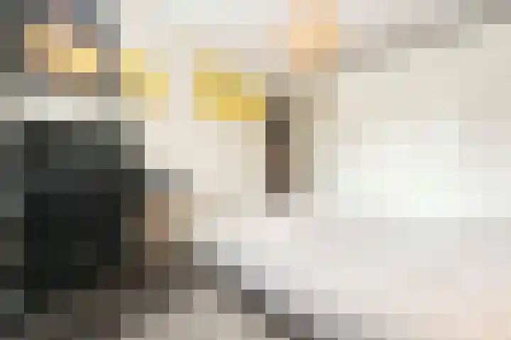 Steenarend 9 Bosschenhoofd thumbnail 36
