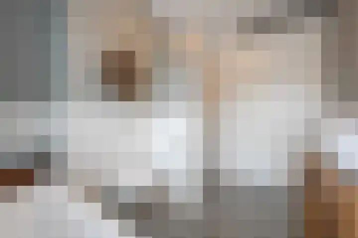 Steenarend 9 Bosschenhoofd thumbnail 40