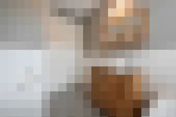 Steenarend 9 Bosschenhoofd thumbnail 41