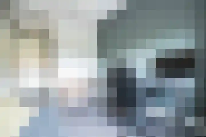 Steenarend 9 Bosschenhoofd thumbnail 45
