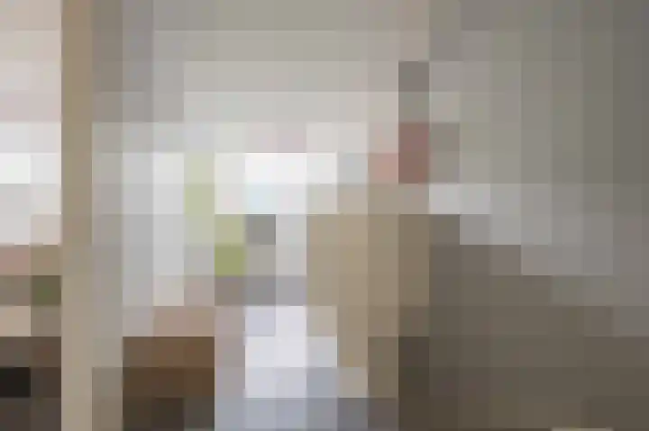 Steenarend 9 Bosschenhoofd thumbnail 46