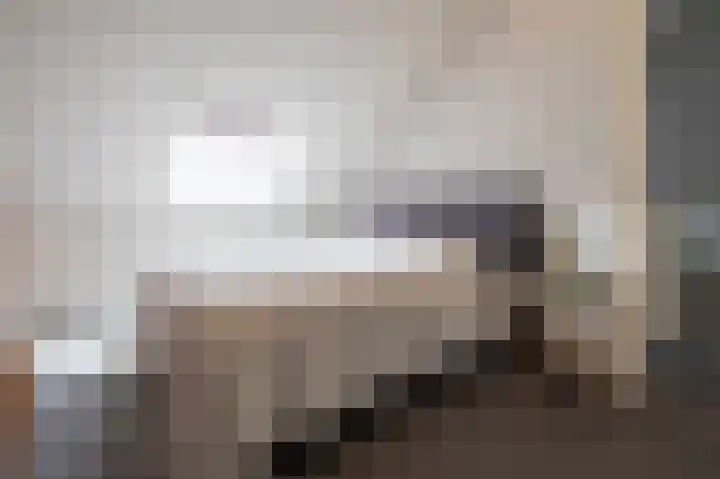 Steenarend 9 Bosschenhoofd thumbnail 48