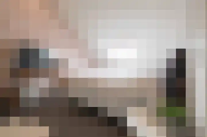 Steenarend 9 Bosschenhoofd thumbnail 49