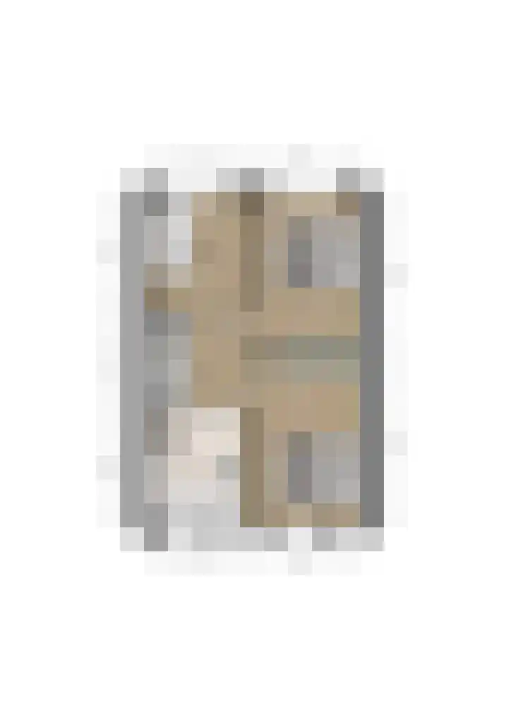 Steenarend 9 Bosschenhoofd thumbnail 52